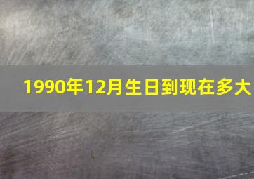 1990年12月生日到现在多大