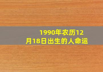 1990年农历12月18日出生的人命运