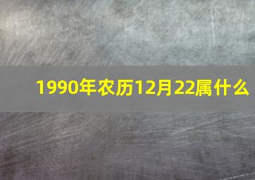 1990年农历12月22属什么