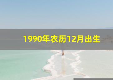 1990年农历12月出生