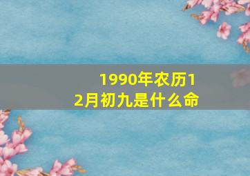 1990年农历12月初九是什么命