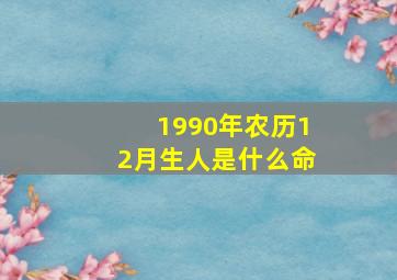 1990年农历12月生人是什么命