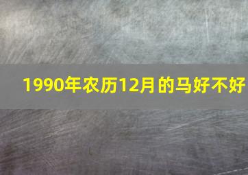 1990年农历12月的马好不好