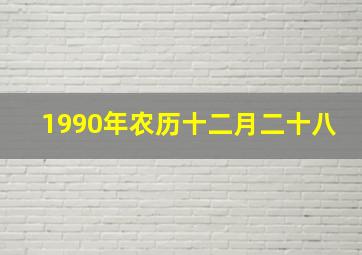 1990年农历十二月二十八