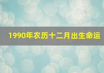 1990年农历十二月出生命运