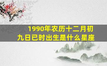 1990年农历十二月初九日已时出生是什么星座