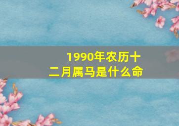 1990年农历十二月属马是什么命