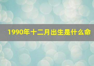 1990年十二月出生是什么命