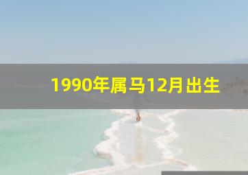 1990年属马12月出生