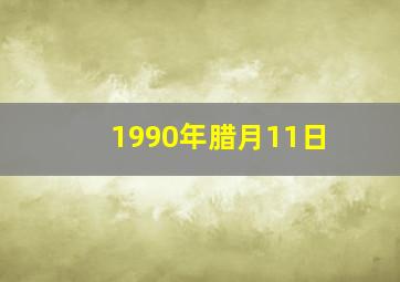 1990年腊月11日