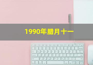 1990年腊月十一