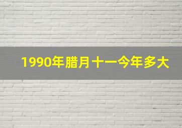 1990年腊月十一今年多大