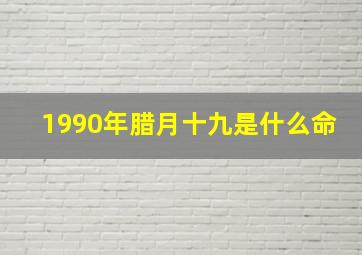 1990年腊月十九是什么命