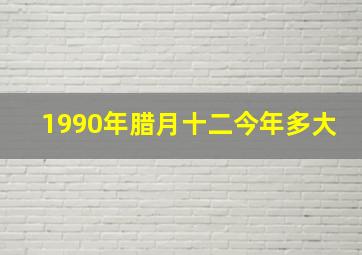 1990年腊月十二今年多大