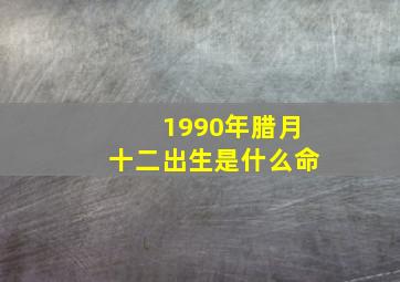 1990年腊月十二出生是什么命