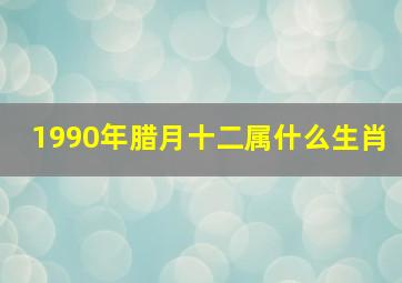 1990年腊月十二属什么生肖