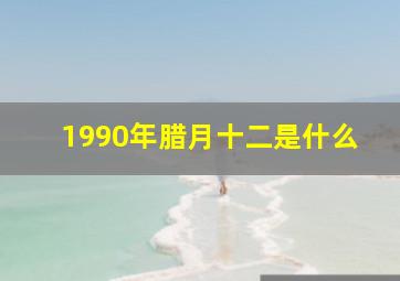 1990年腊月十二是什么