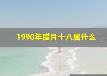 1990年腊月十八属什么