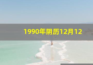 1990年阴历12月12