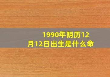 1990年阴历12月12日出生是什么命