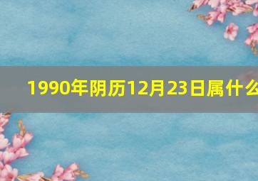 1990年阴历12月23日属什么