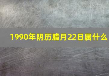 1990年阴历腊月22日属什么