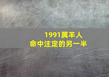 1991属羊人命中注定的另一半