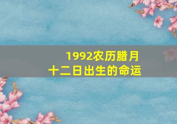 1992农历腊月十二日出生的命运