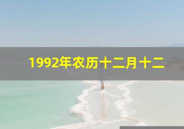 1992年农历十二月十二