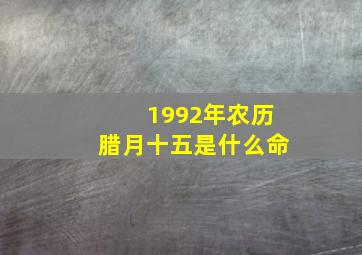 1992年农历腊月十五是什么命