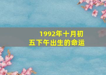 1992年十月初五下午出生的命运