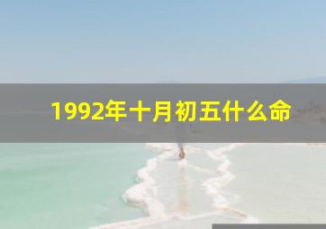 1992年十月初五什么命