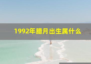 1992年腊月出生属什么