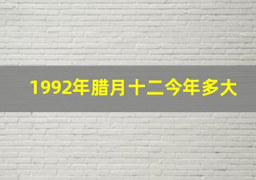 1992年腊月十二今年多大