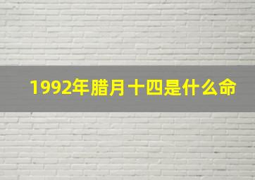 1992年腊月十四是什么命