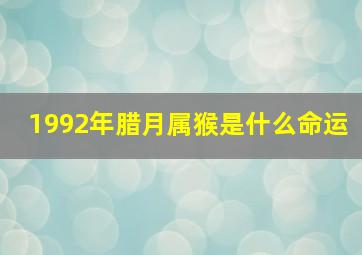 1992年腊月属猴是什么命运