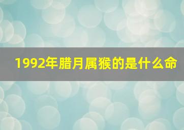 1992年腊月属猴的是什么命