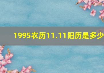 1995农历11.11阳历是多少