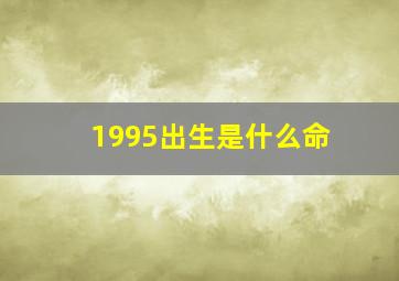 1995出生是什么命