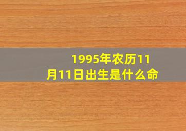 1995年农历11月11日出生是什么命