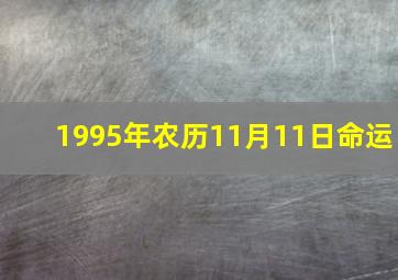 1995年农历11月11日命运