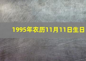 1995年农历11月11日生日