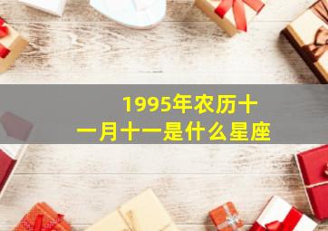 1995年农历十一月十一是什么星座