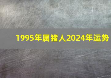 1995年属猪人2024年运势