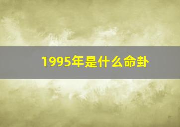 1995年是什么命卦