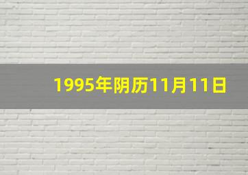 1995年阴历11月11日