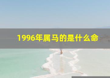 1996年属马的是什么命