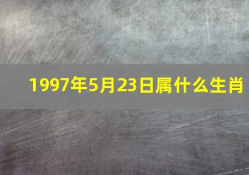 1997年5月23日属什么生肖