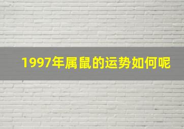 1997年属鼠的运势如何呢