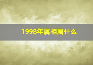 1998年属相属什么